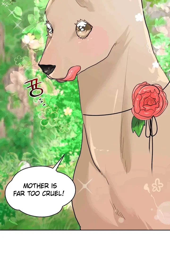 Chapter 17, page 15