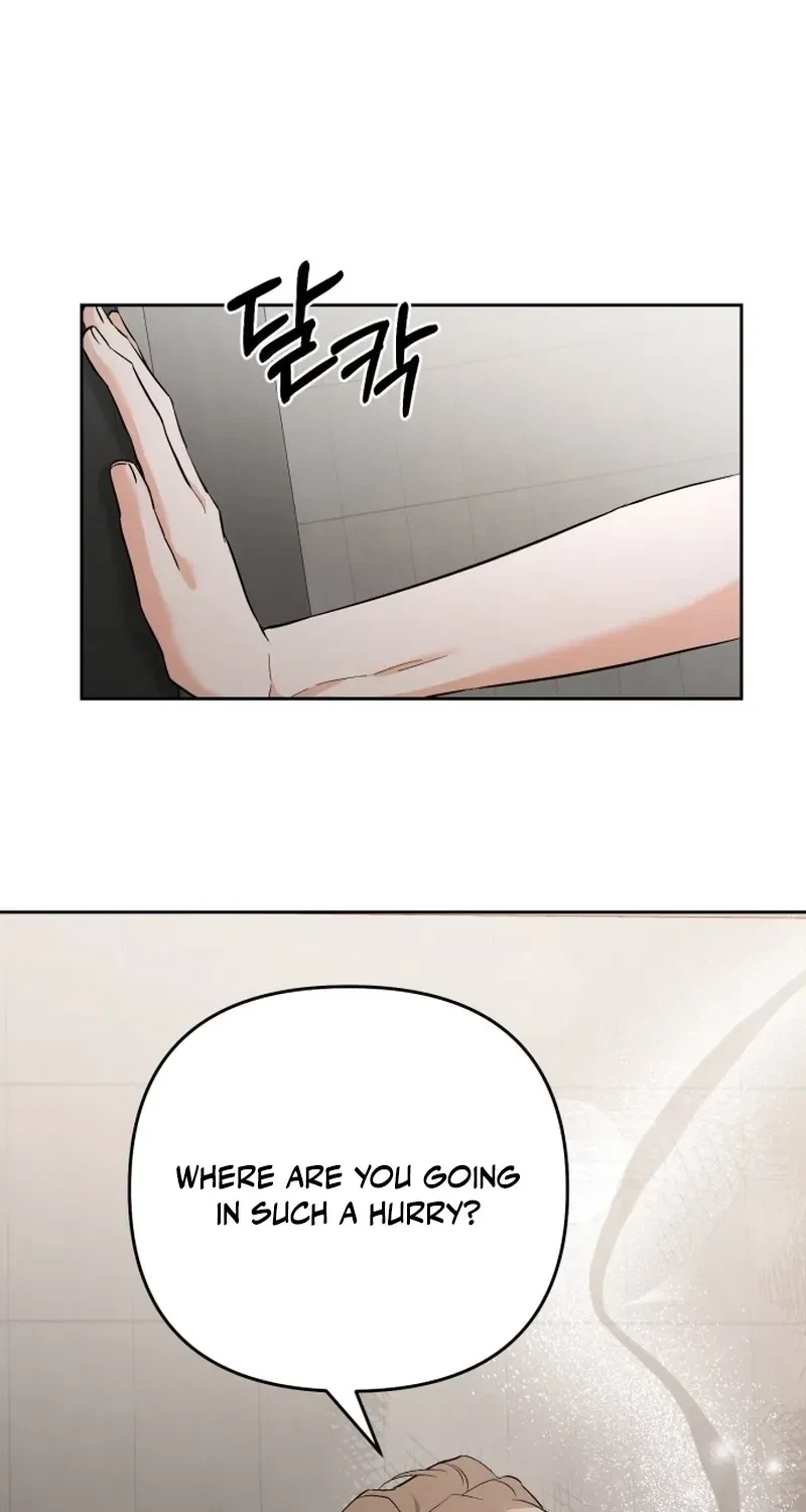 Chapter 2, page 81