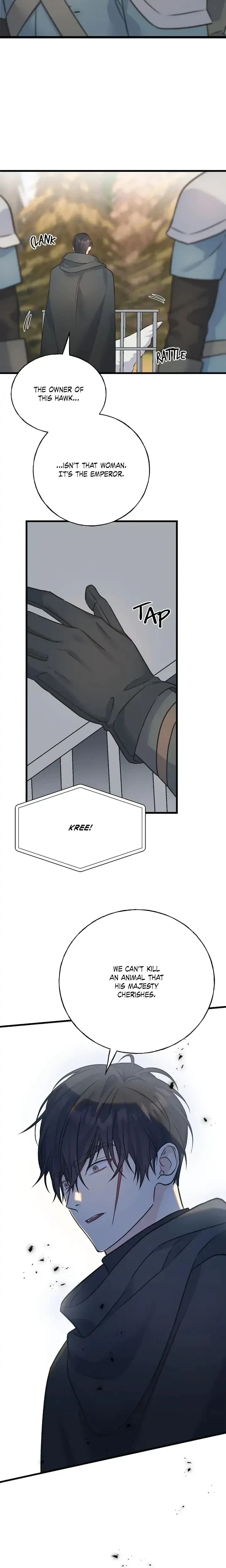 Chapter 91, page 12