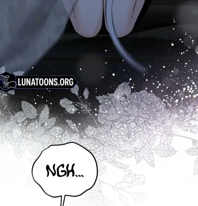 Chapter 1, page 54