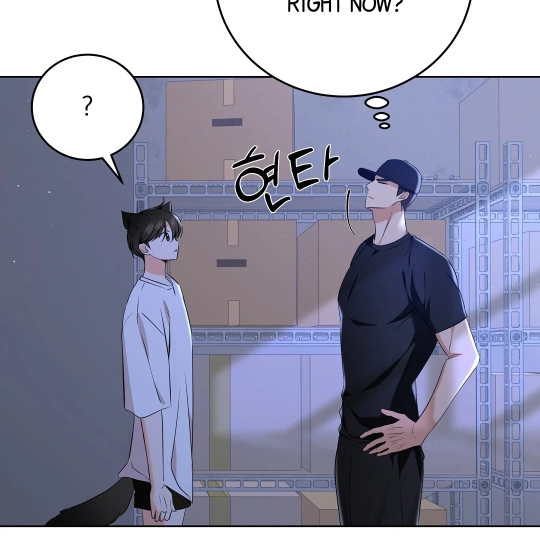 Chapter 5, page 28