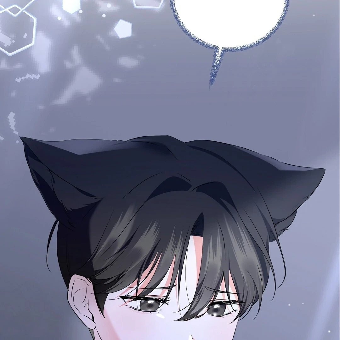 Chapter 5, page 41