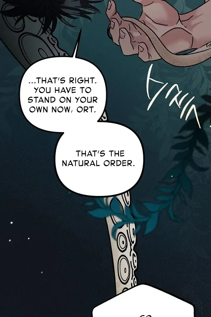 Chapter 4, page 69