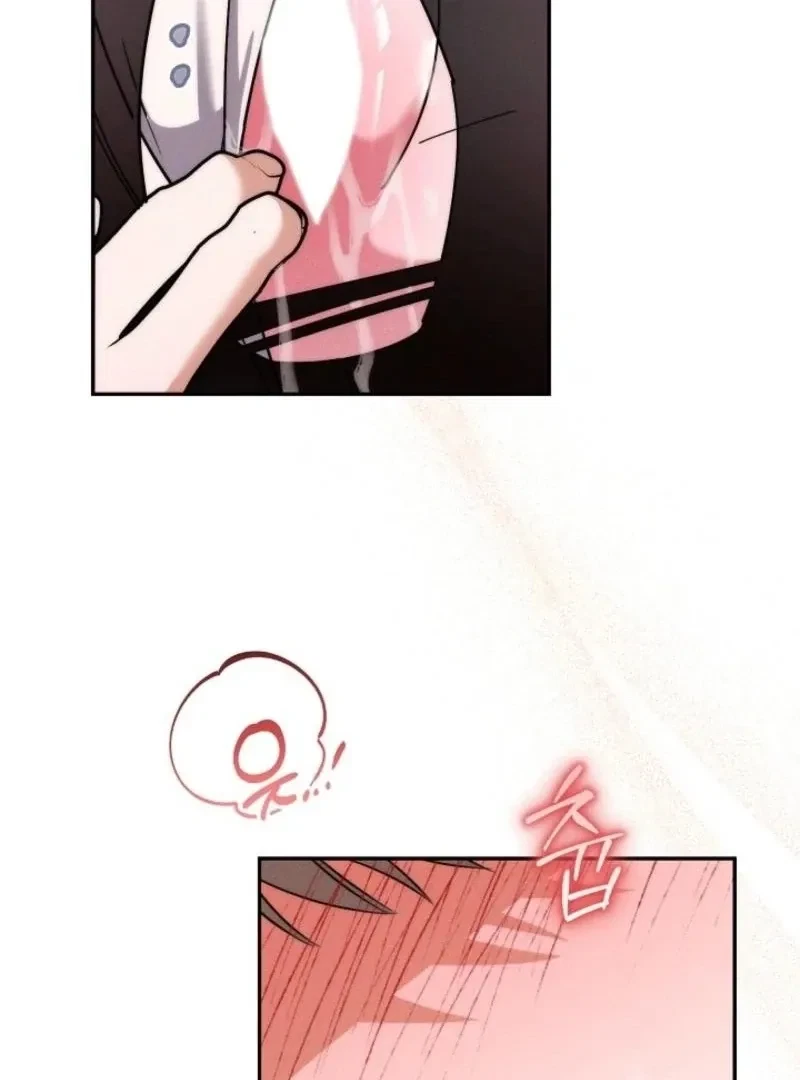 Chapter 4, page 74