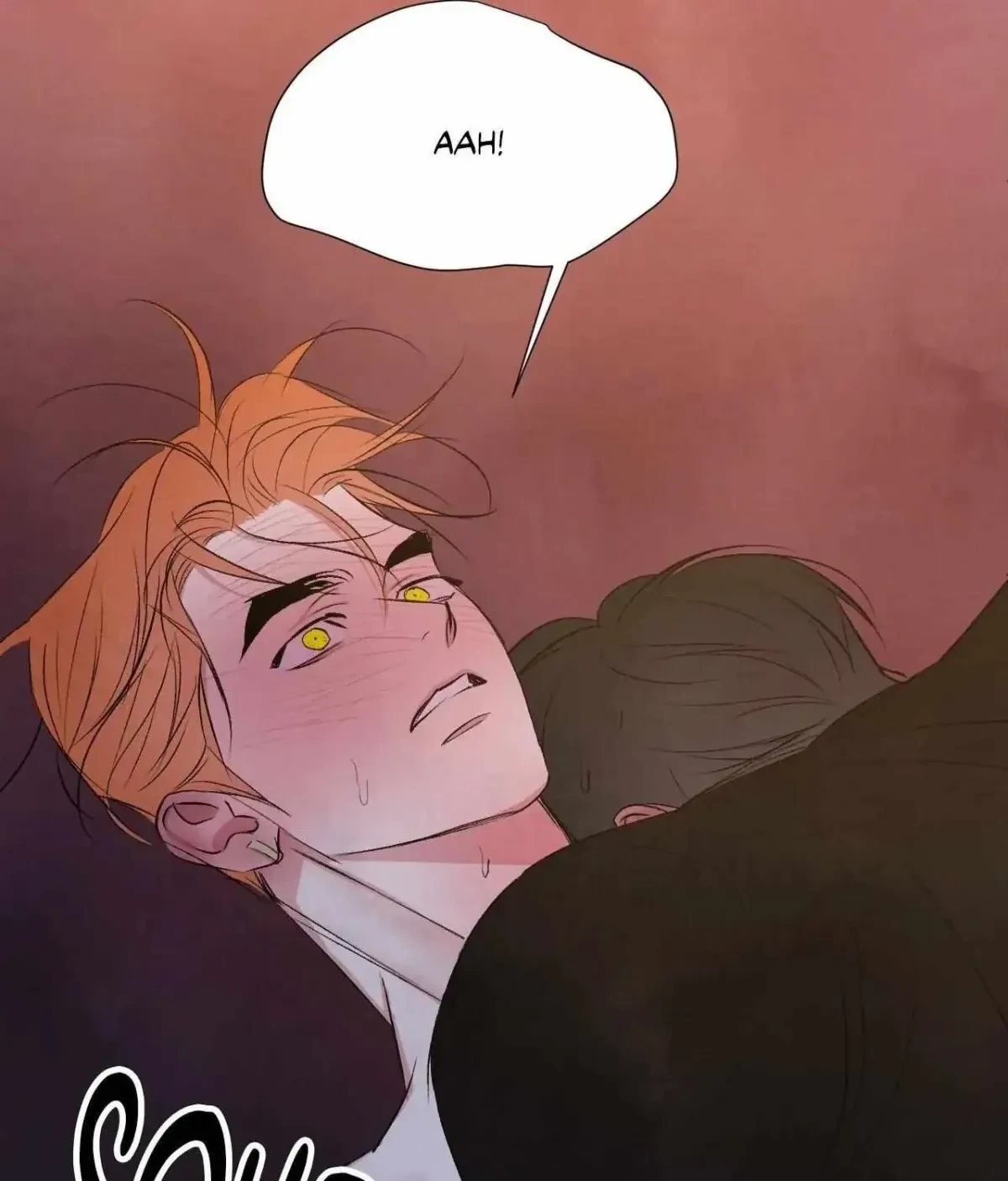 Chapter 3.1, page 79