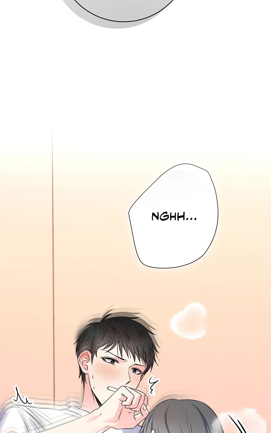 Chapter 3.1, page 102
