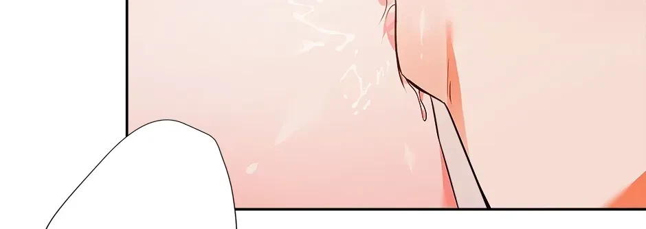 Chapter 3.1, page 113