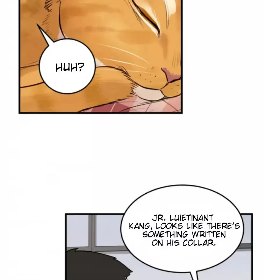 Chapter 13, page 51