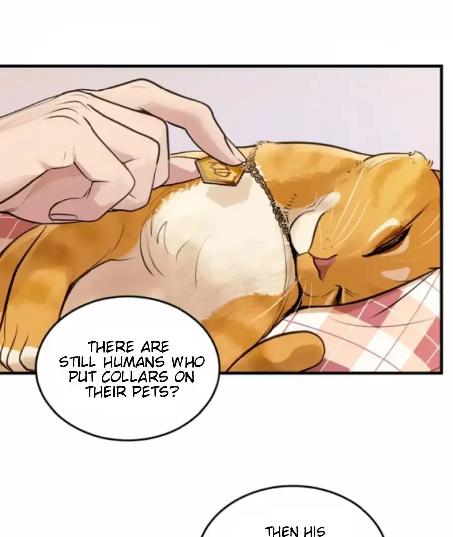 Chapter 13, page 53