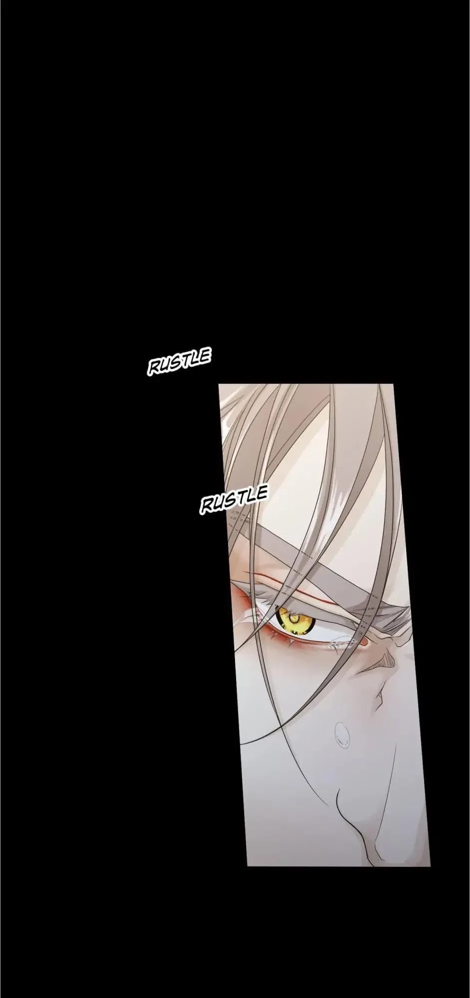 Chapter 2.1, page 15