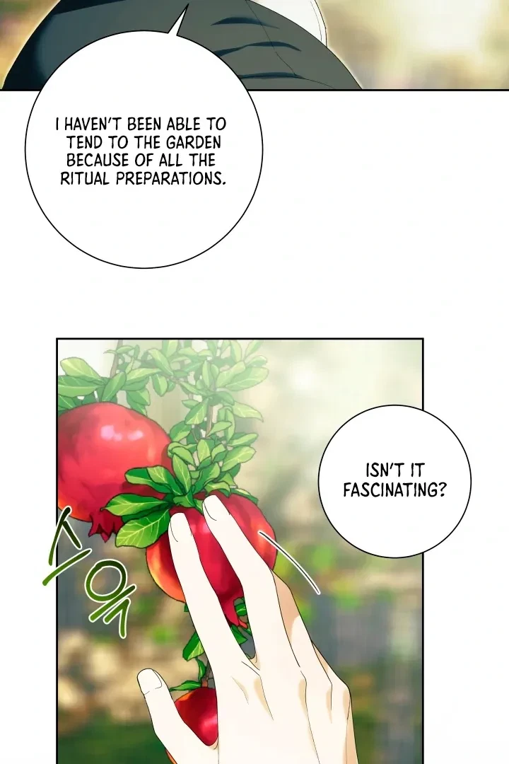 Chapter 7, page 63