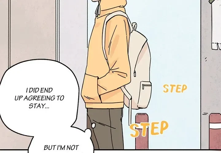 Chapter 5, page 4