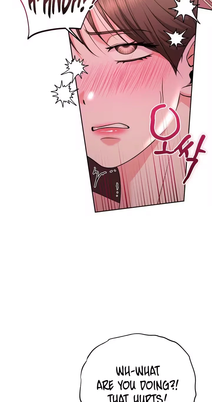 Chapter 0, page 17