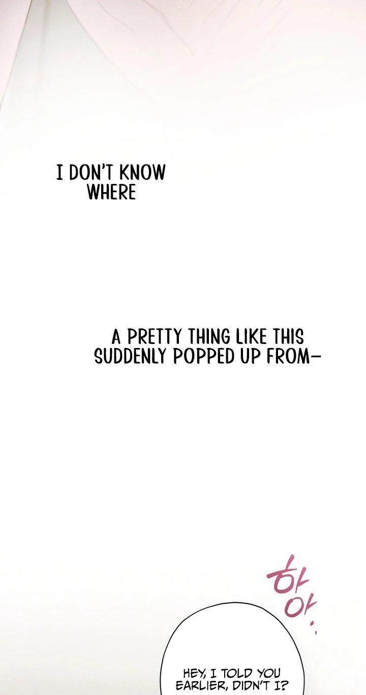 Chapter 6, page 63
