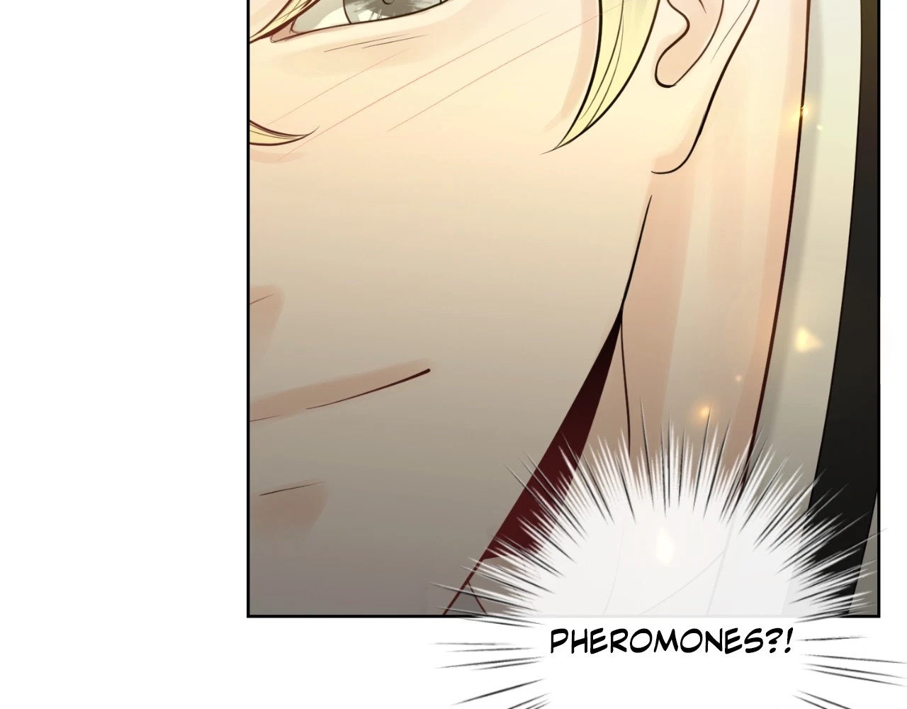 The Alpha's Mate Chapter 25, page 107