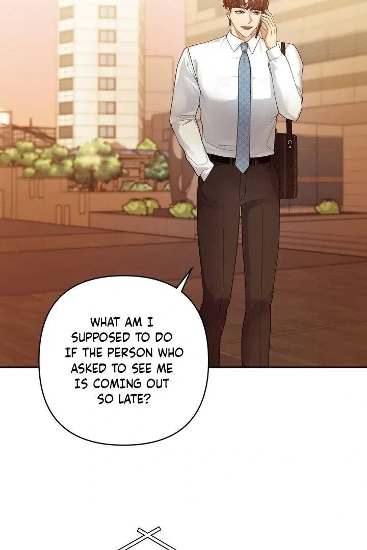 Chapter 4, page 102