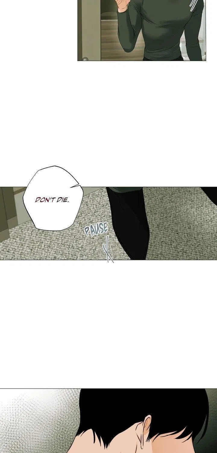 Chapter 82, page 43