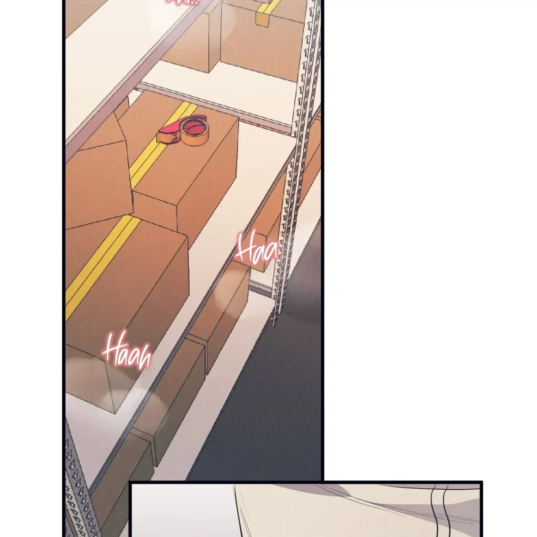 Chapter 3, page 115