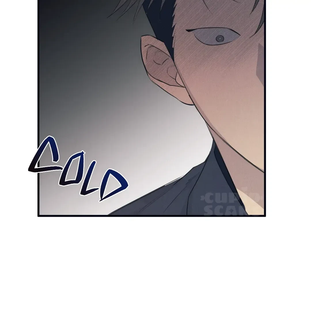 Chapter 3, page 98