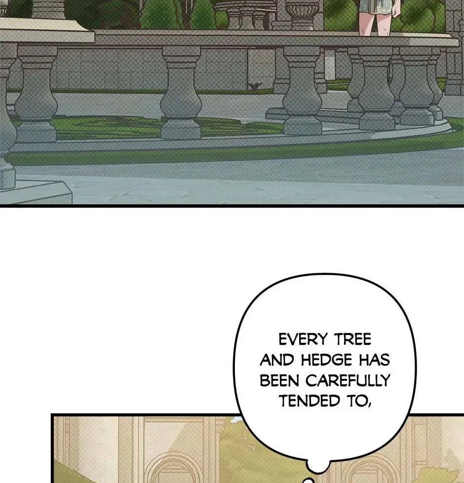 Chapter 3, page 25