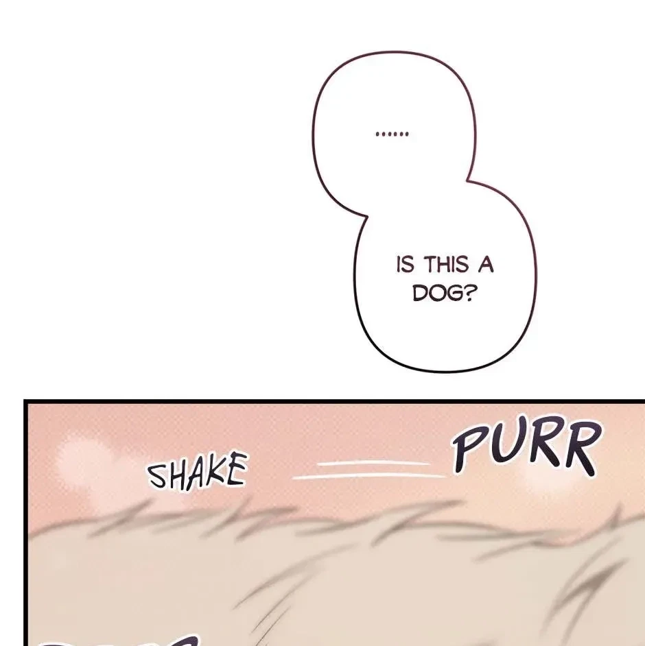 Chapter 3, page 4