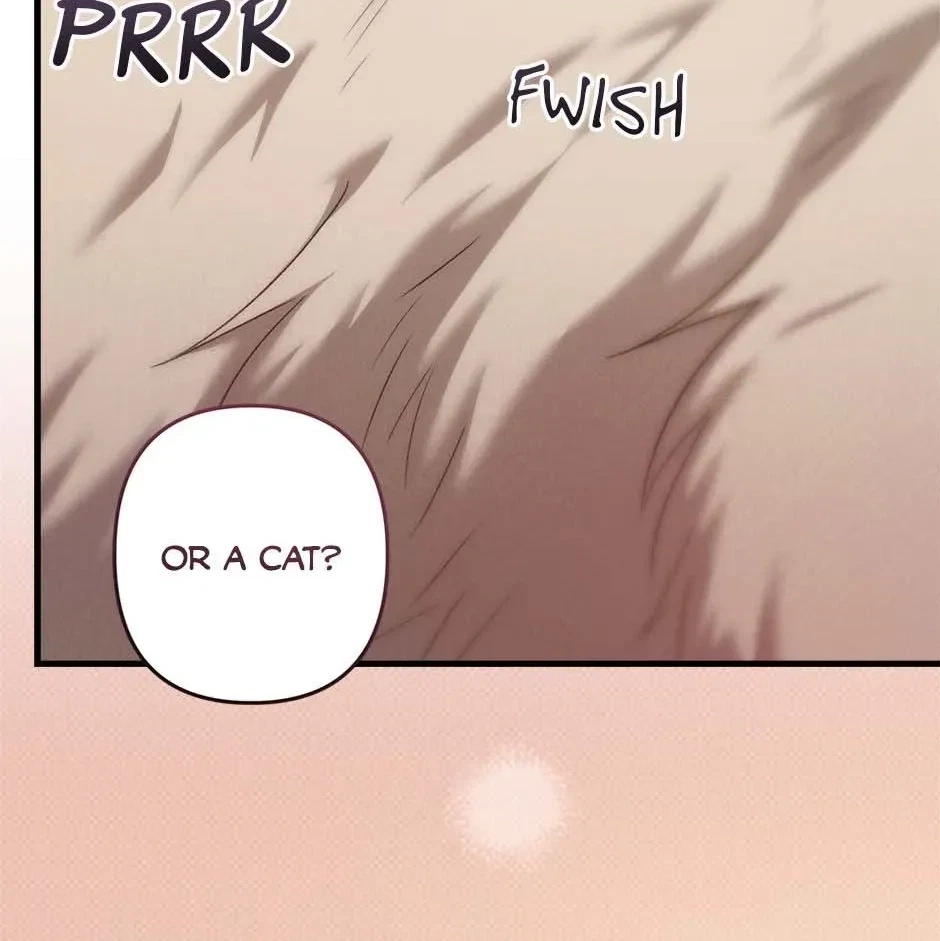 Chapter 3, page 5