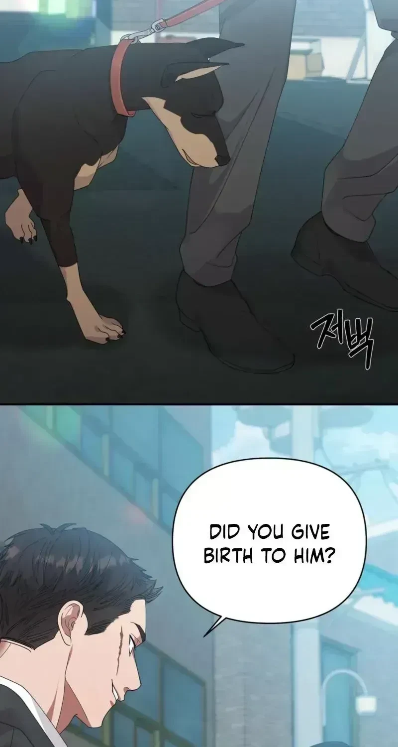 Chapter 2.4, page 29