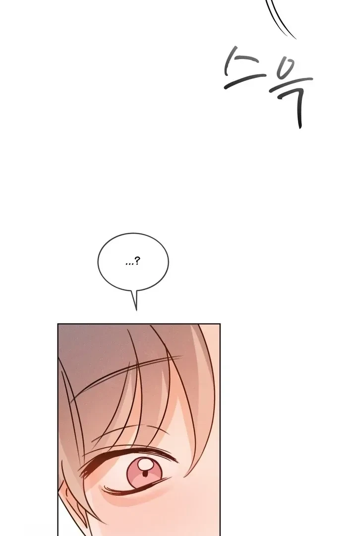 Chapter 5, page 61