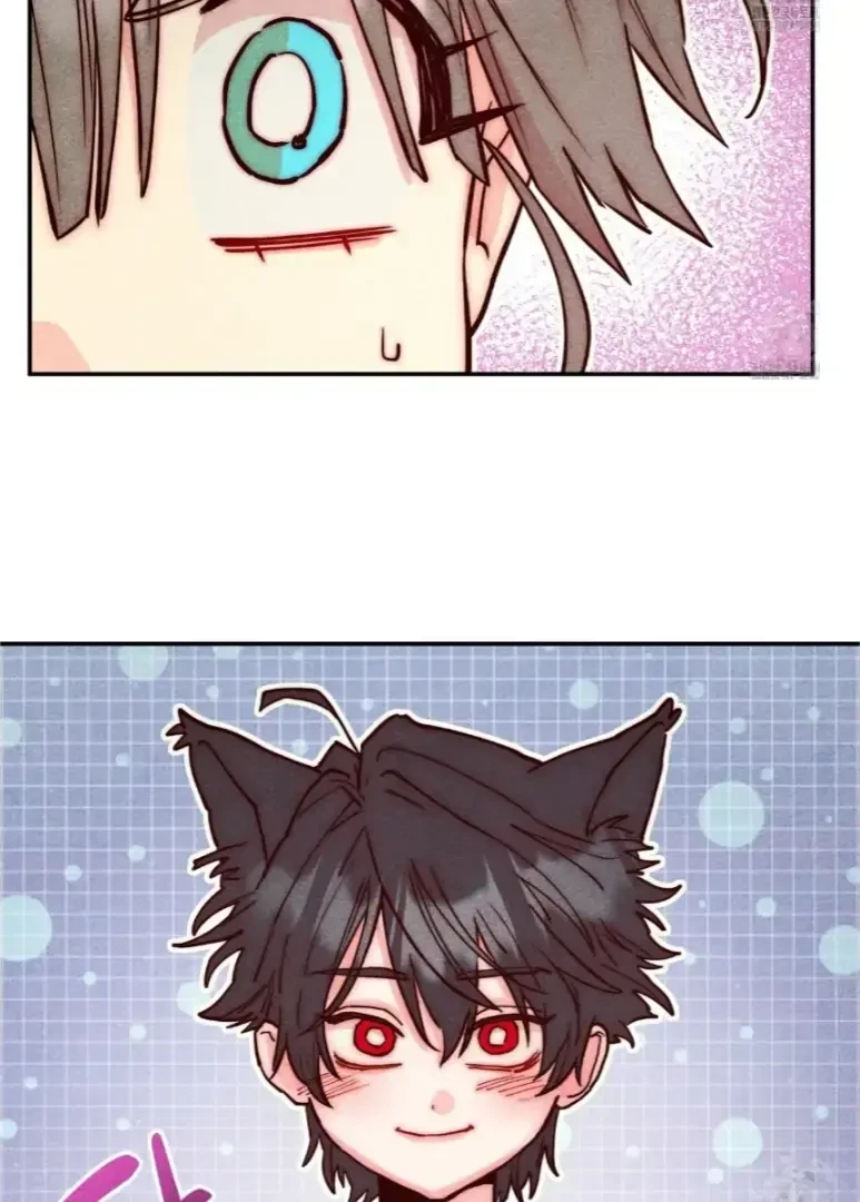 Chapter 2, page 29