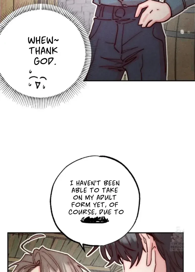 Chapter 2, page 48