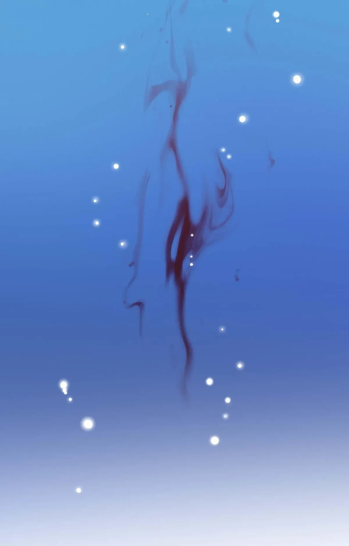 Side. : 14, page 81
