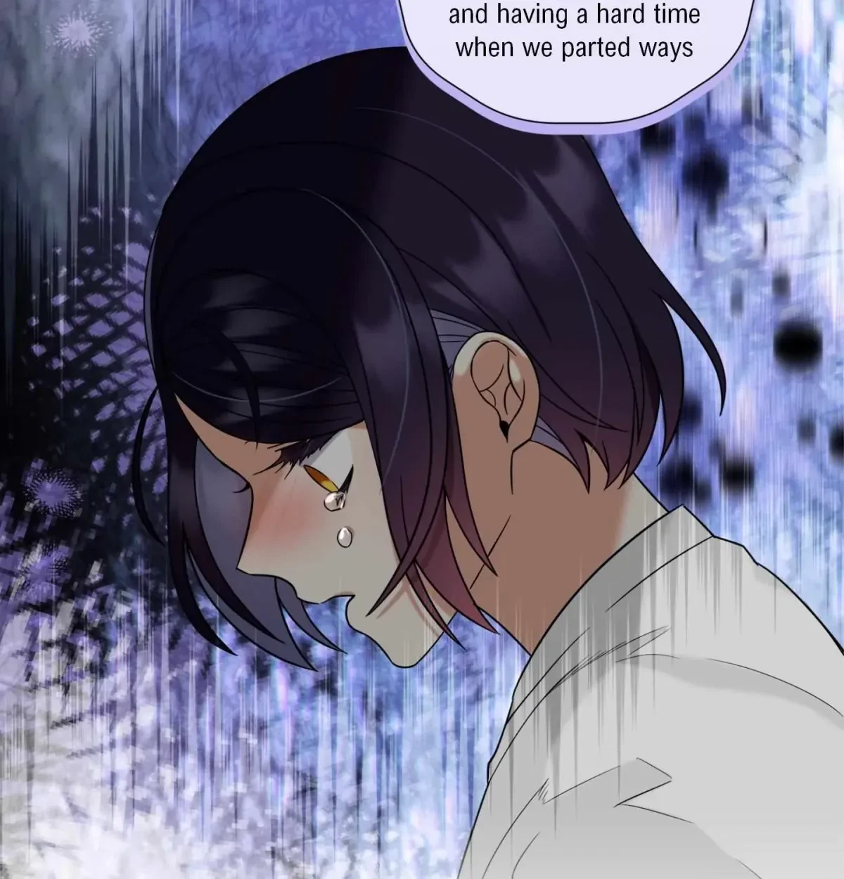 Chapter 2.1, page 13