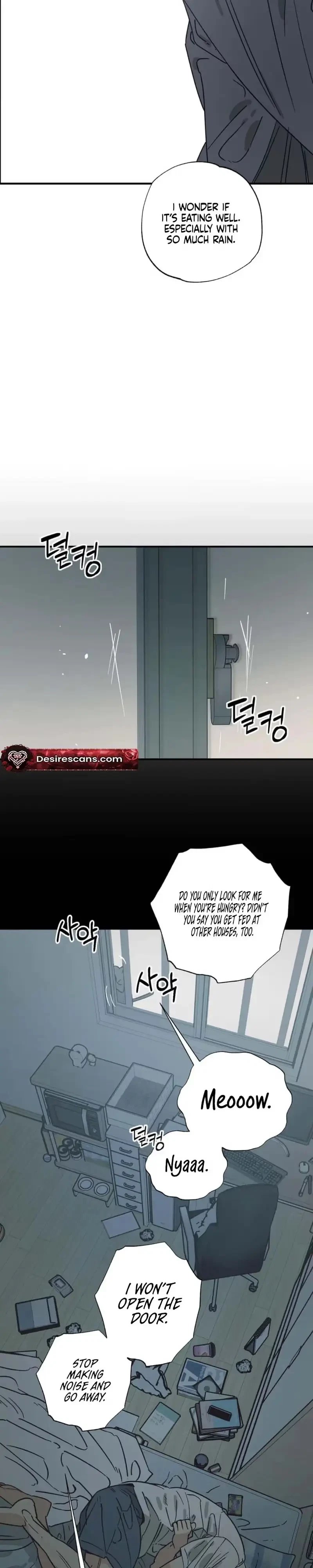 Chapter 23, page 14