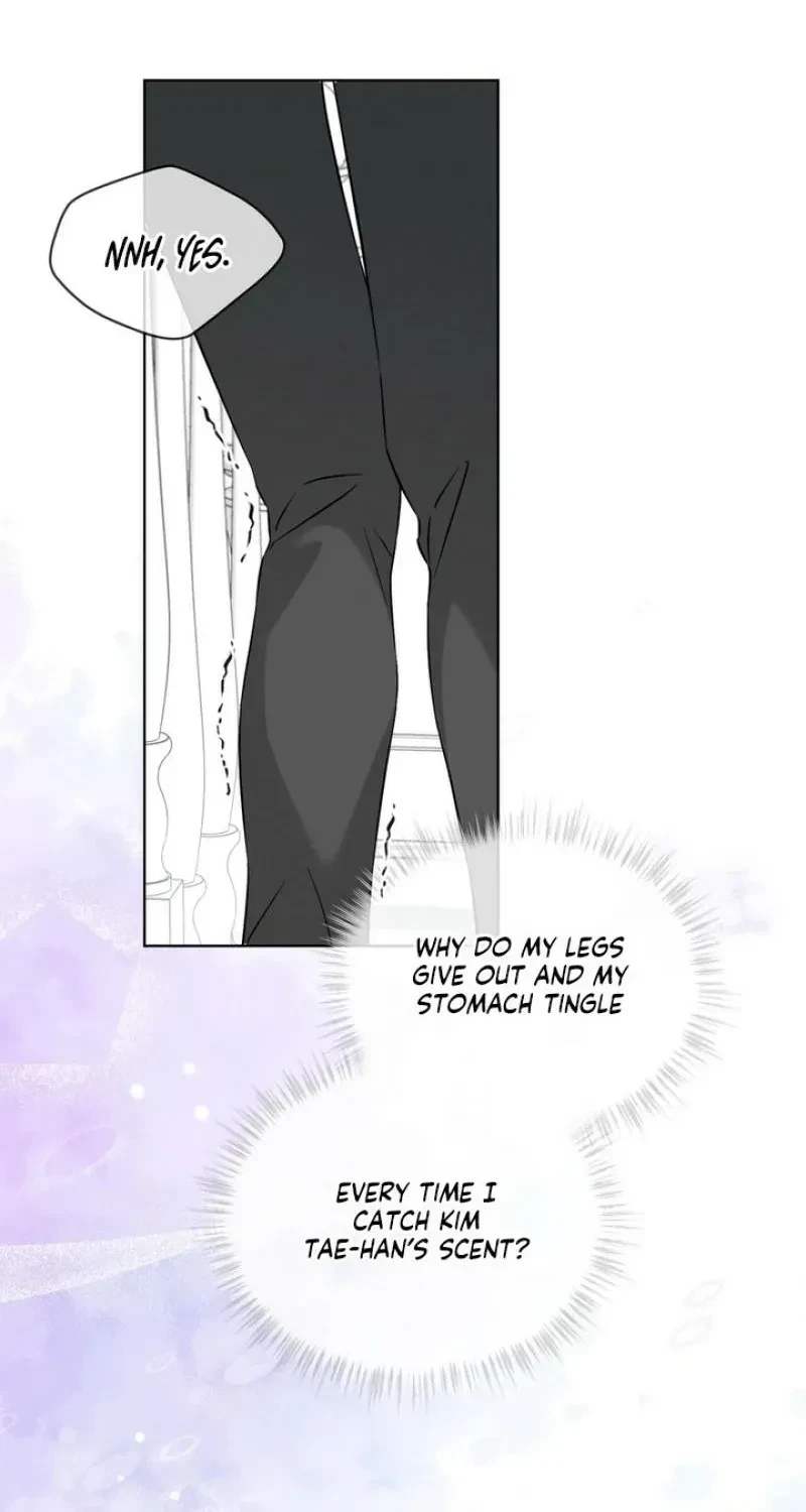 Chapter 5, page 51