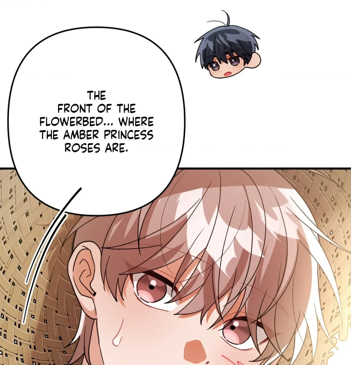Chapter 8, page 62