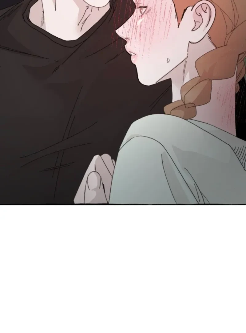 Chapter 2, page 31