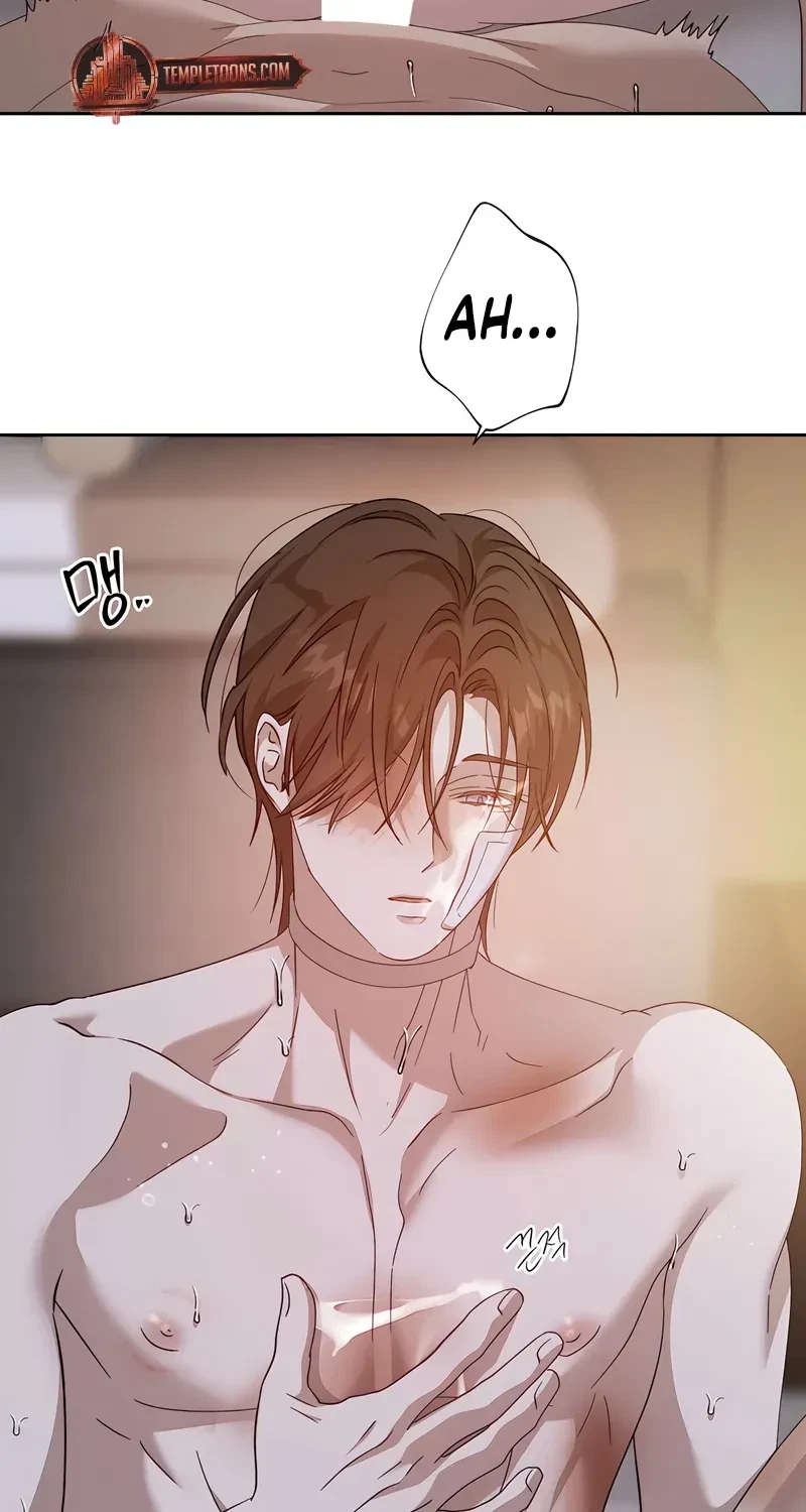 Chapter 16, page 62