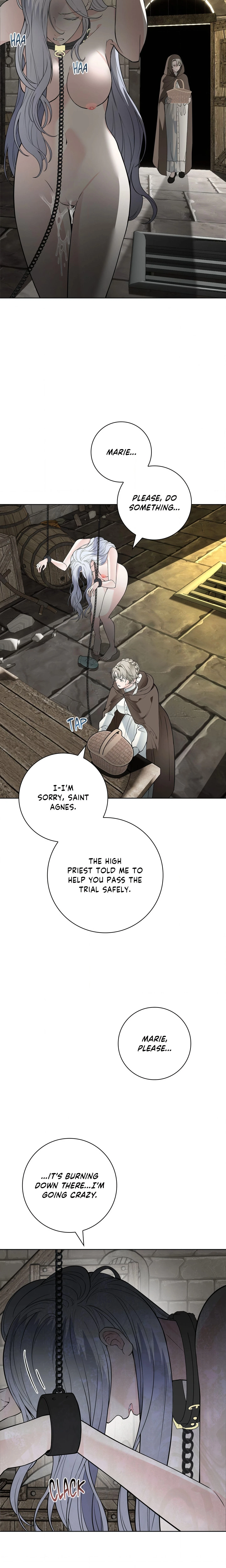 Chapter 14, page 17