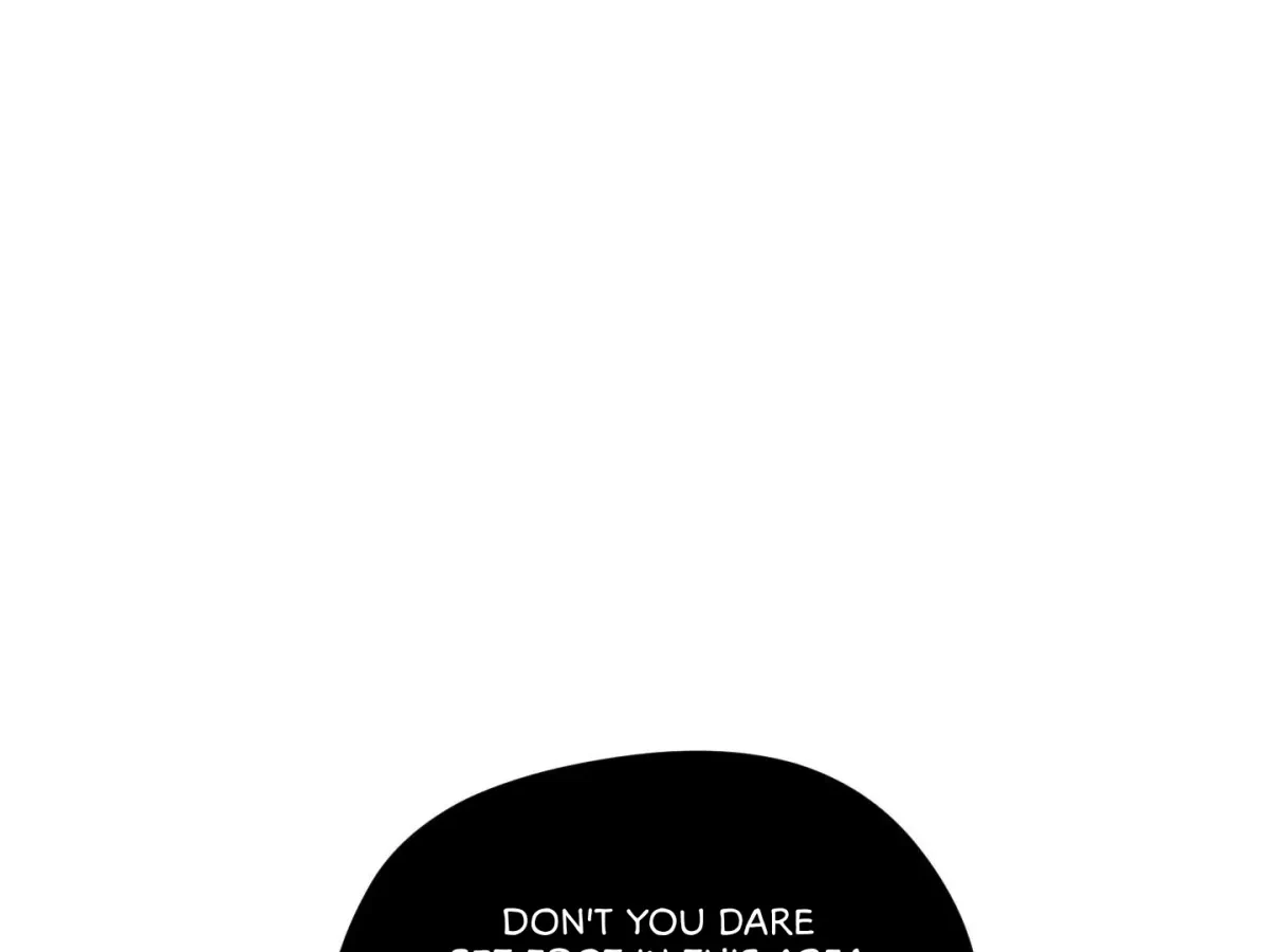 Chapter 3, page 67
