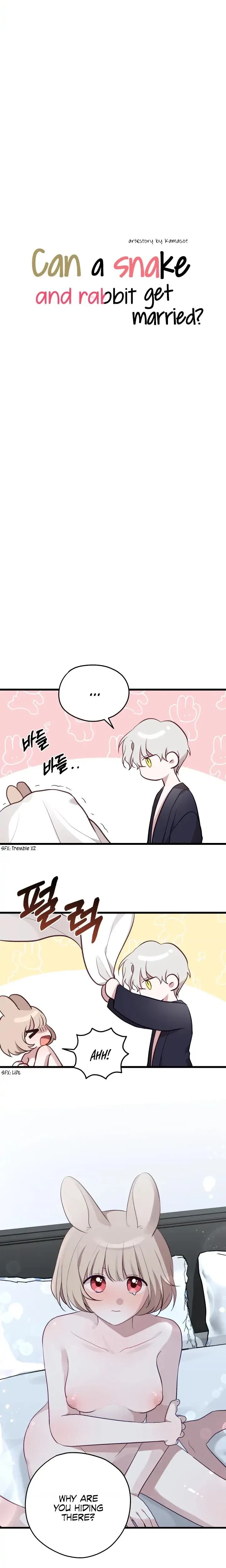 Can A Snake And A Rabbit Get Married? Chapter 3, page 2