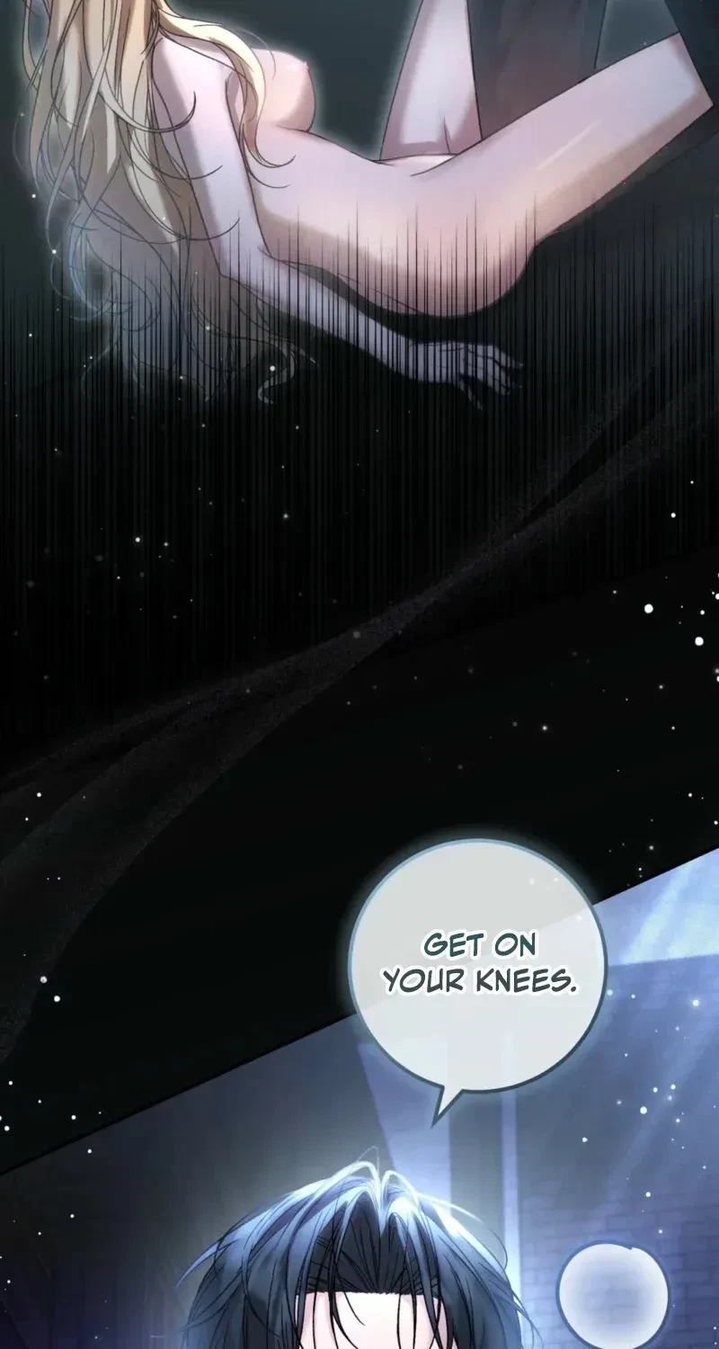 Chapter 1, page 17