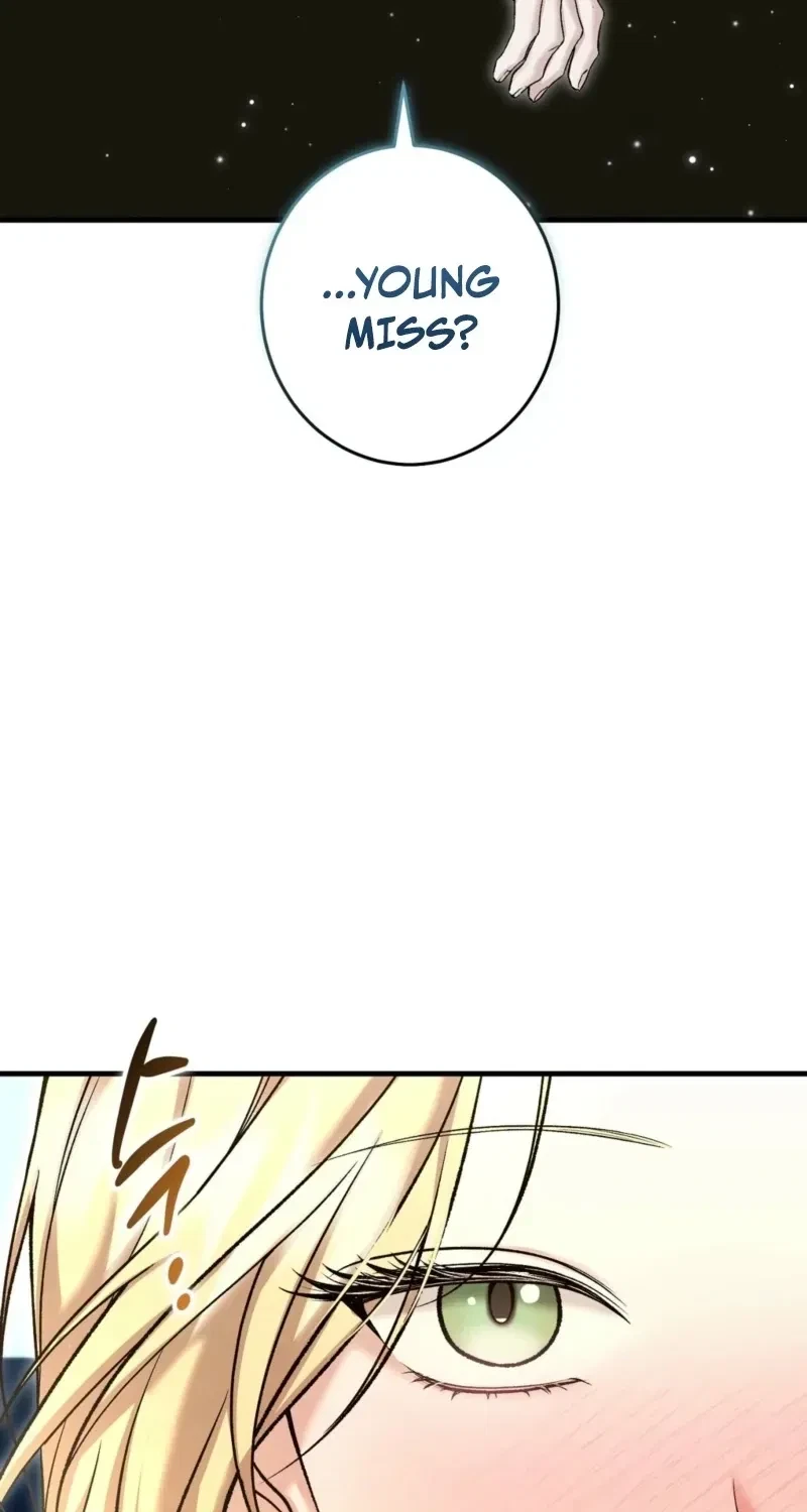 Chapter 1, page 94