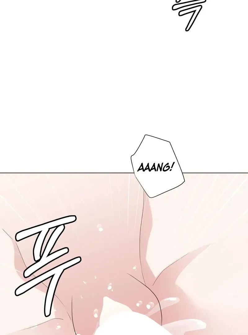 Chapter 3, page 15