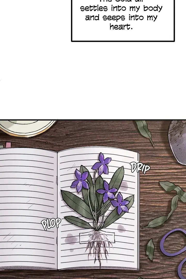Chapter 3, page 45