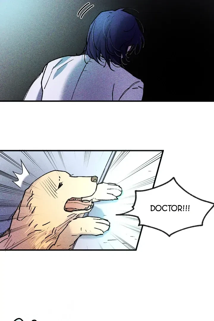 Chapter 3, page 62