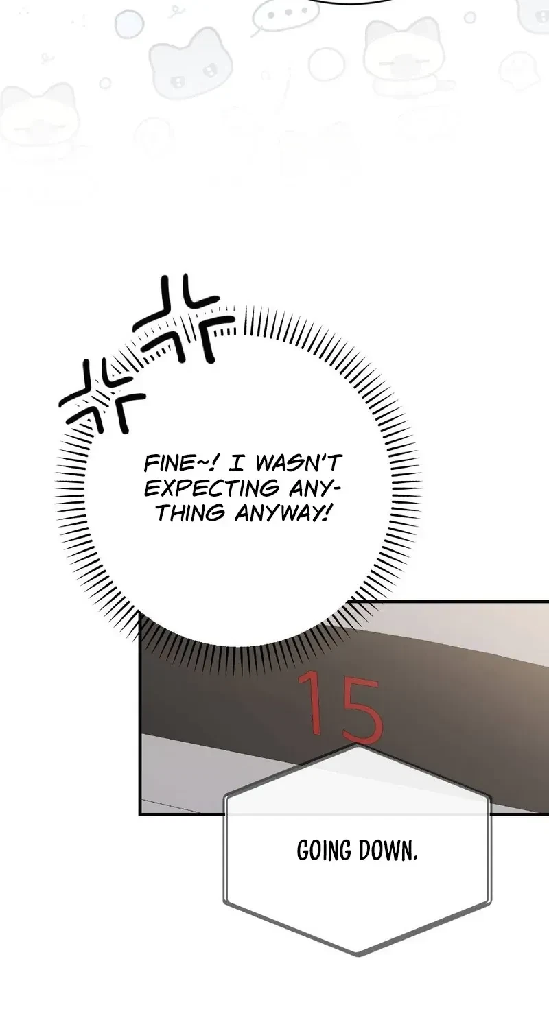 Chapter 3, page 63