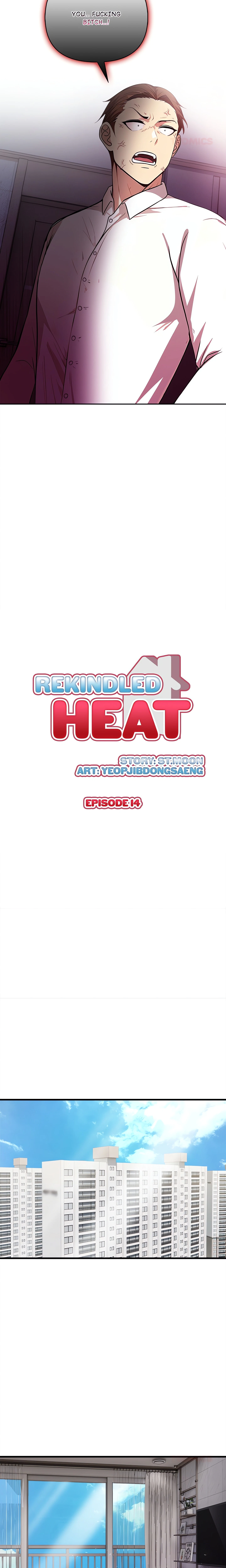 Rekindled Heat Chapter 14, page 2