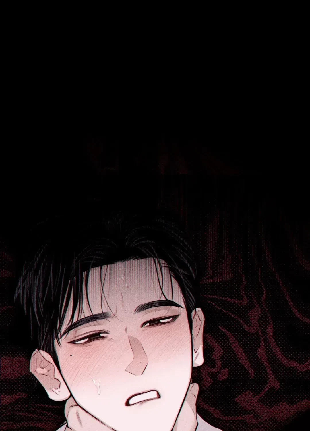 Chapter 4, page 17