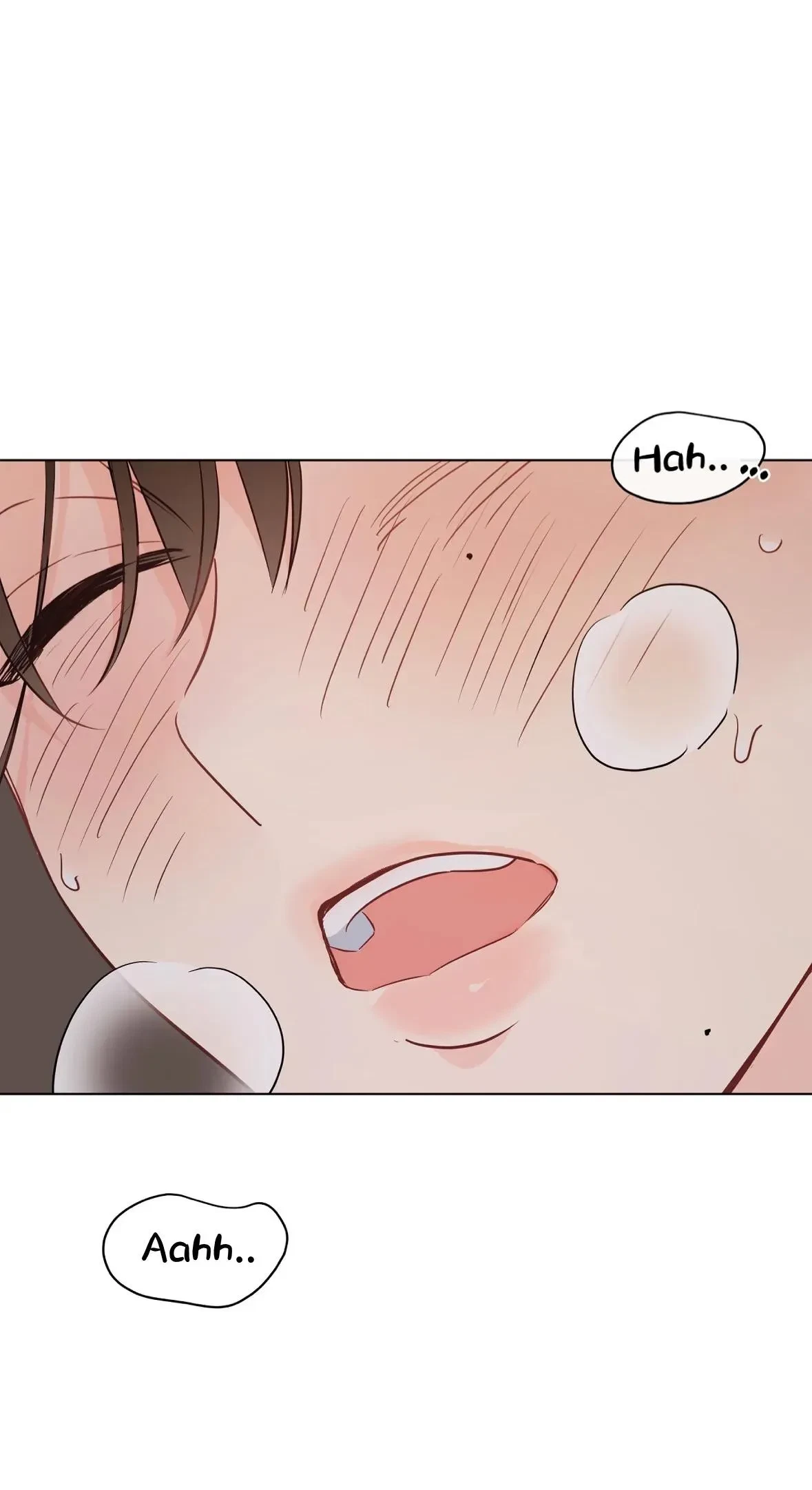 Side.5, page 53