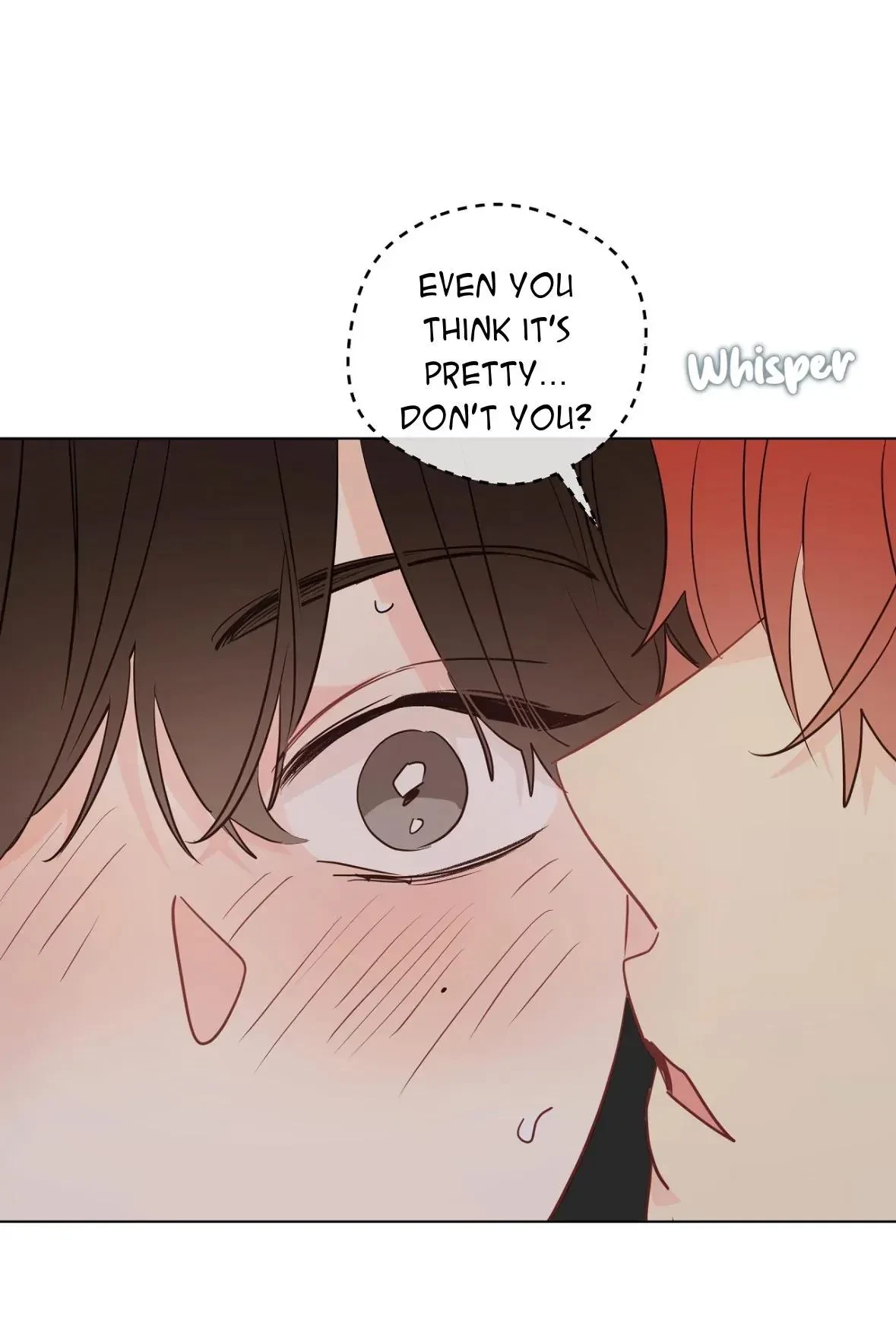 Side.5, page 55
